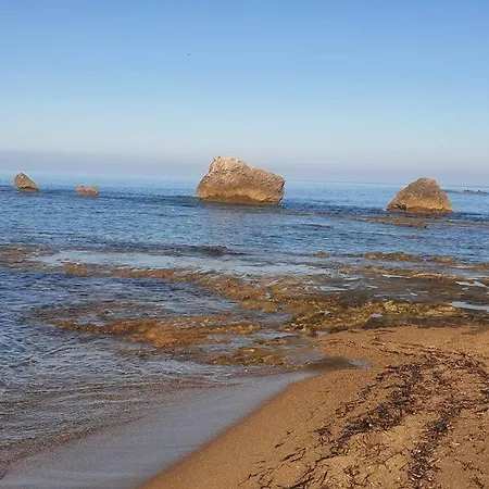 Ortensia Nyaraló *