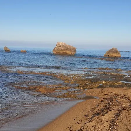 Ortensia Nyaraló *